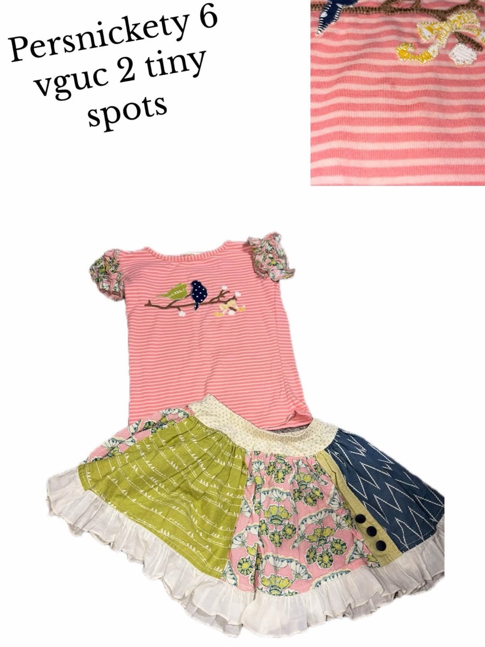 Persnickety size 6 skirt and shirt bundle